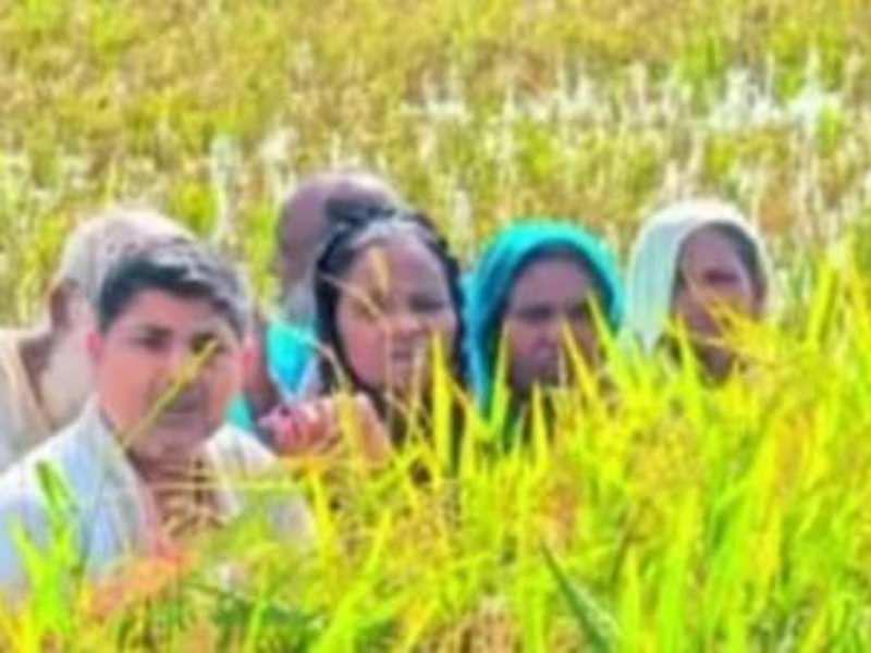न रोटी, न पानी, न छांव; बांग्लादेशी के नाम पर नो मैंस लैंड में छोड़े जा रहे मुसलमान