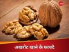 सुबह-सुबह सिर्फ 1 भीगा अखरोट खाने से मिलते हैं 5 गजब के फायदे, हर उम्र के लिए है फायदेमंद