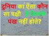 GK Quiz: दुनिया का ऐसा कौनसा पक्षी है जिसके पंख नहीं होते?