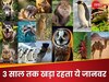 कौन सा जानवर 3 सालों तक खड़ा रह सकता है? 