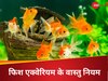 Vastu Tips 