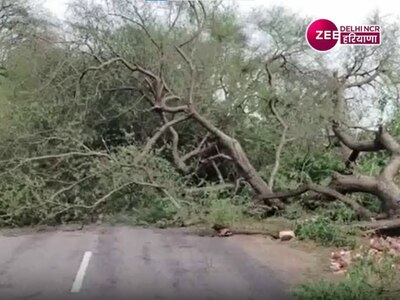 Haryana Rain: तूफानी बारिश से टूटे पेड़ और गिरे बिजली के पोल, कई मार्ग बंद और गाड़ियां क्षतिग्रस्त 