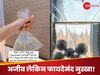 Desi Jugaad: खिड़की-दरवाजों पर पानी की थैली क्यों टांगते हैं लोग, जानकर आपकी आंखें फटी रह जाएंगी