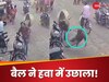Viral Video