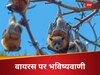 बीमारी फैलाने वाला चमगादड़ पहले ही कर देगा वायरस की भविष्यवाणी, कैसे हुआ संभव? 