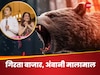  Share Market: खुलते ही ताश के पत्तों की तरह ढह गया शेयर बाजार, गिरते मार्केट में भी अनिल अंबानी पर पैसों की बरसात, बवंडर की रफ्तार से बढ़ रहा ये स्टॉक 