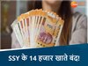 छत्तीसगढ़ में सुकन्या समृद्धि योजना के 14,000 खाते बंद