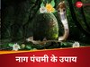 Nag panchami 2025