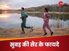 सुबह सिर्फ आधे घंटे टहलने का निकालें वक्त, शरीर में आएंगे 4 बदलाव, आप भी नहीं कर पाएंगे यकीन