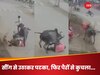 WATCH: बाप रे! बेकाबू सांड ने शख्स पर किया ऐसा जानलेवा हमला, पहले सींग से पटका फिर..., CCTV देख उड़ जाएंगे होश