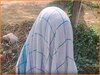 गया में 11 महीने की मासूम के साथ हैवानियत