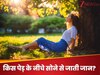 किस पेड़ के नीचे सोने से जा सकती है जान? 