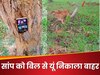 Nagin Ka Video: लड़कों ने ऐसा जुगाड़ लगाया खुद बिल से बाहर आ गई नागिन, फिर जो दिखा सोच भी नहीं सकते