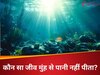 कौन सा जीव मुंह से पानी नहीं पीता? 
