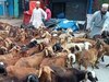 फाइल फोटो