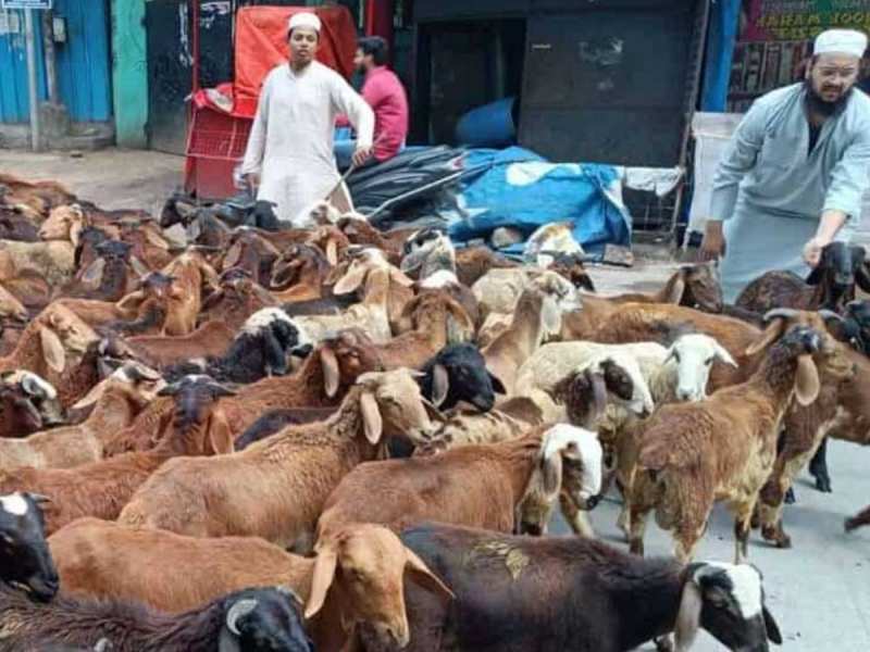 बकरीद पर मदरसों को मिली मायूसी; 'अल्लाह के नाम' पर मिले चमड़ी की नहीं मिल रहा दमड़ी
