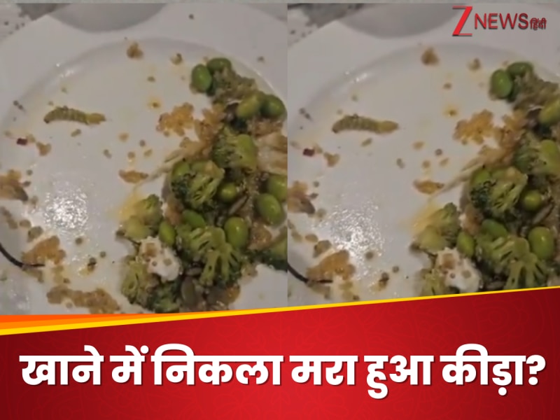 फाइव स्टार रेस्टोरेंट में सलाद में निकला मरा हुआ कीड़ा , Video वायरल होने पर...
