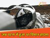 अहमदाबाद में दिल दहला देने वाला विमान हादसा (प्रतीकात्मक फोटो)