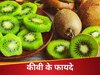 गर्मी से लेकर ठंड तक, पूरे साल ले सकते हैं Kiwi के फायदे; जानें सेहत का कैसे रखता है खास ख्याल