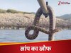 समंदर की लहरों में ऐश कर रहे थे लोग, आंखें खुली तो सामने फुफकार रहा था 6 फीट का सांप और फिर...