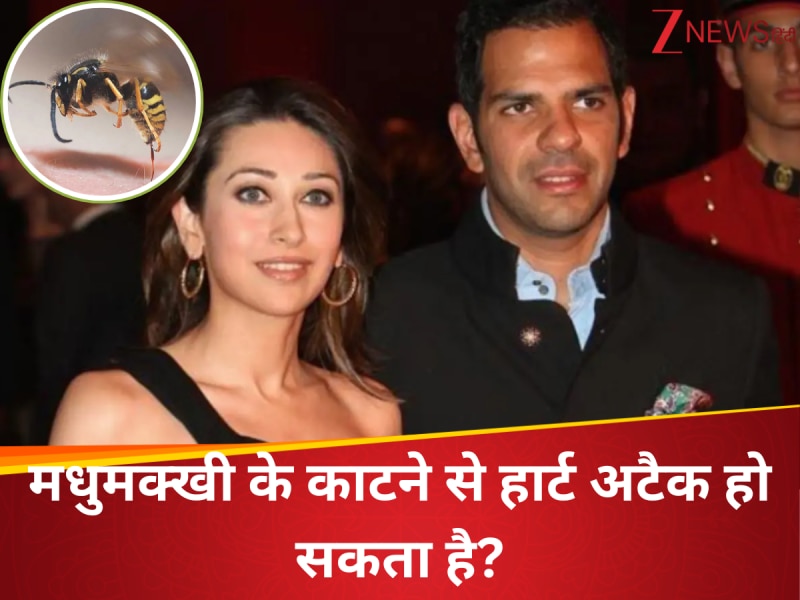 Can a bee sting cause a heart attack Health expert opinion on karishma  kapoor ex husband Sanjay Kapoor death | क्या मधुमक्खी के काटने से आ सकता है  हार्ट अटैक? करिश्मा कपूर