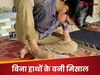 Success Story: बिना हाथों के बदली किस्मत, इस लड़की ने पैरों से दिए 10वीं के एग्जाम, 100 फीसदी नंबर लाकर रचा इतिहास