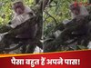 Viral Video
