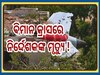 Film Director Missing: ଏୟାର ଇଣ୍ଡିଆ ବିମାନ କ୍ରାସ ପରେ ନିଖୋଜ ଏହି ବଡ଼ ଫିଲ୍ମ ନିର୍ଦ୍ଦେଶକ...ସାମ୍ନାକୁ ଆସିଲା ବଡ଼ ଖବର 