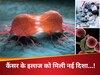दक्षिण कोरियाई वैज्ञानिकों का कमाल! कैंसर के इलाज को मिली नई दिशा, अब ट्यूमर को खत्म नहीं बल्कि बचाया जाएगा