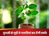 तुलसी से जुड़ी ये गलतियां कर देंगी बर्बाद, देखते ही देखते खाली हो जाएगा खजाना!