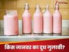 GK Quiz: किस जानवर का दूध गुलाबी रंग का होता है? 