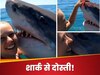 Viral Video
