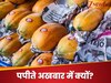 Interesting Facts: पपीते को अखबार में लपेटकर क्यों बेचा जाता है? वजह जानकर हैरान रह जाएंगे आप