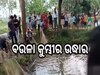 Crocodile Rescue: ବାଡି଼ ପୋଖରୀରୁ ୬ଫୁଟ ଲମ୍ବର ବଉଳା କୁମ୍ଭୀର ଉଦ୍ଧାର