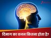 GK Quiz: दिमाग का वजन कितना होता है?