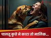 पालतू कुत्ते ने काटा पड़ोसी को, मालिक को हुई जेल! जानिए नया कानून क्या कहता है?