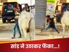 Viral Video