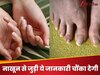 Interesting Facts: बचपन से बुढ़ापे तक कितने किलो नाखून काट लेता है एक इंसान? जवाब जान चौंक जाएंगे आप