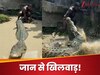 Viral Video