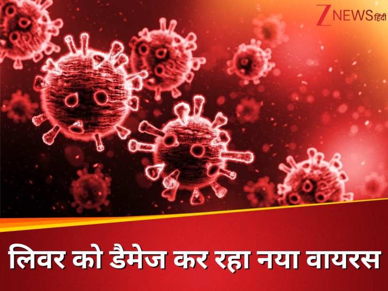 लिवर फेलियर की वजह बन रहा नया वायरस! इन चार टूरिस्ट स्पॉट्स पर मंडरा रहा मौत का साया