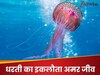 Interesting Facts: धरती पर अमर है ये जीव! कभी नहीं होती मौत, जानें नाम 