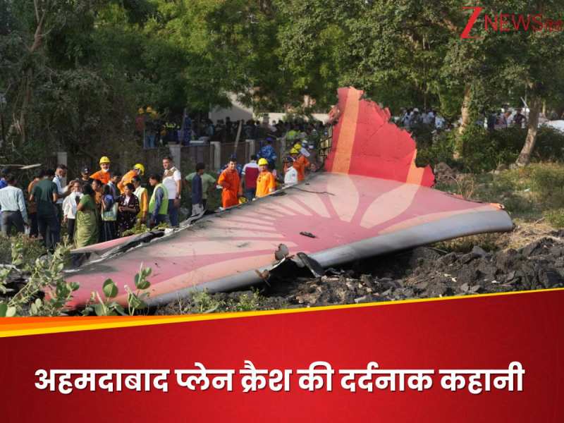 शादी के 14 साल बाद हुई थी बेटी, प्लेन क्रैश में खोई इकलौती औलाद...रुला देगी कहानी