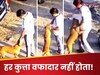 Viral Video