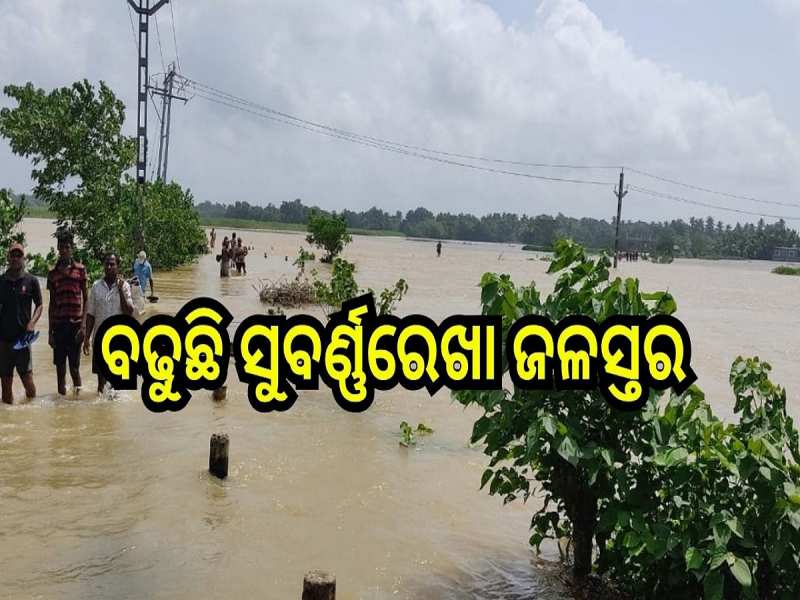 Flood Situation: ବଢୁଛି ସୁବର୍ଣ୍ଣରେଖା ନଦୀର ଜଳସ୍ତର 