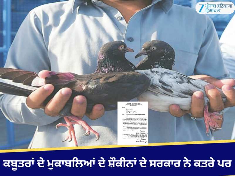 ਕਬੂਤਰਾਂ ਦੇ ਮੁਕਾਬਲਿਆਂ ਦੇ ਸ਼ੌਕੀਨਾਂ ਦੇ ਸਰਕਾਰ ਨੇ 'ਕਤਰੇ ਪਰ'; ਹੁਣ ਜਾਣਾ ਪੈ ਸਕਦਾ ਜੇਲ੍ਹ