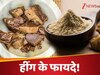 दांतों के दर्द से उड़ गई है रातों की नींद...? तो ऐसे करें हींग का इस्तेमाल; झट से मिलेगा आराम!