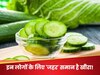 Kheera Side Effects: किन 4 लोगों को गलती से भी नहीं करना चाहिए खीरे का सेवन, फायदे के बजाय करवा बैठेंगे सेहत का गंभीर नुकसान