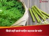 मोरिंगा के पत्ते सेहत के चैंपियन, लेकिन इन 4 परेशानियों में न खाएं तो बेहतर, उल्टा पड़ जाएगा दांव