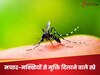Rainy Insects Remedies: मॉनसून में नजर भी नहीं आएंगे मच्छर-मक्खी, घर में छिड़क दें ये देसी स्प्रे; भागते दिखाई देंगे सारे कीड़े