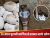 25 year old Naagin rescued viral video